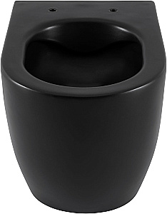 Унитаз приставной Allen Brau Reality 4.32004.31 черный матовый, безободковый, с крышкой микролифт купить в интернет-магазине Sanbest