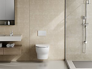 Унитаз подвесной ABBER Bequem AC1128 белый, с крышкой микролифт, безободковый, слив-торнадо купить в интернет-магазине Sanbest