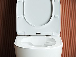 Унитаз Ceramica Nova HIGHLIGHT CN1802 безободковый, с крышкой микролифт, с бачком купить в интернет-магазине Sanbest