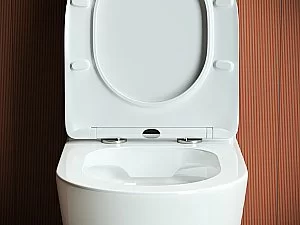 Унитаз Ceramica Nova HIGHLIGHT CN1802 безободковый, с крышкой микролифт, с бачком купить в интернет-магазине Sanbest