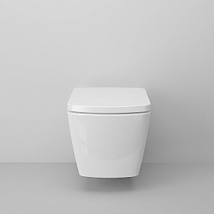 Унитаз подвесной Ambassador Kingston 143K19003RS безободковый, с крышкой микролифт, белый купить в интернет-магазине Sanbest