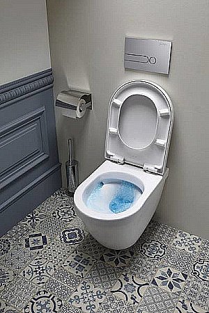 Унитаз подвесной Jacob Delafon RODIN EDC102-00 купить в интернет-магазине Sanbest