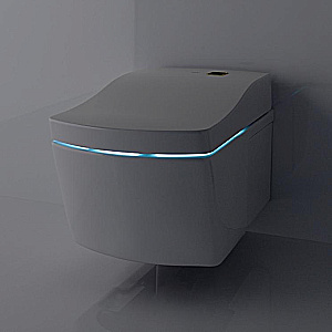 Унитаз TOTO NEOREST AC CW996PVD#NW1 с крышкой-биде WASHLET® AC 2.0 TCF996RWG#NW1 безободковый, слив торнадо, белый купить в интернет-магазине Sanbest