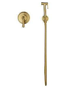 Смеситель с гигиеническим душем встраиваемый WONZON & WOGHAND STEAM, Брашированное золото (WW-88849008-BG) купить в интернет-магазине сантехники Sanbest