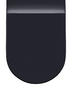 Унитаз приставной Allen Brau Reality 4.32004.AN антрацит матовый, безободковый, с крышкой микролифт купить в интернет-магазине Sanbest