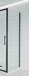 Боковая стенка Veconi Evo E-SP-B-100-01-C9 100х195 стекло прозрачное/профиль черный матовый купить в интернет-магазине сантехники Sanbest