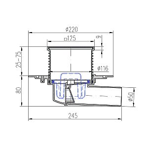 Душевой трап PAINI 381A 12,5 хром купить в интернет-магазине Sanbest