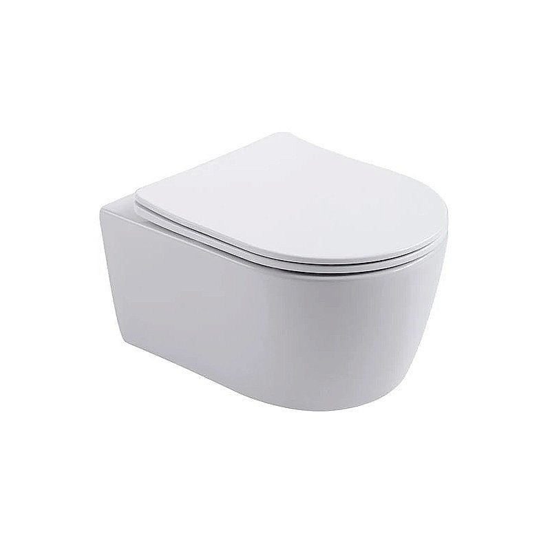 Унитаз подвесной Aquatek Европа AQ1106-00 белый, с крышкой микролифт, безободковый купить в интернет-магазине Sanbest