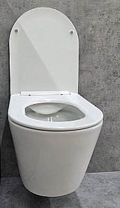 Унитаз подвесной CeramaLux TR5178 белый, безободковый, с крышкой микролифт, слив торнадо купить в интернет-магазине Sanbest