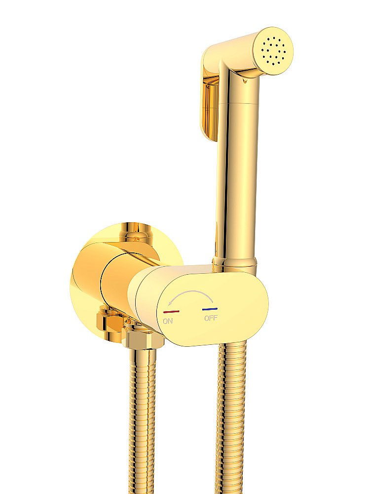 Гигиенический душ со смесителем WeltWasser HIGI R01 GL золото купить в интернет-магазине сантехники Sanbest