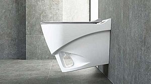 Унитаз подвесной Bien Organic OGKA052N1VP0W3000 белый, с крышкой микролифт, безободковый купить в интернет-магазине Sanbest