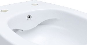 Унитаз Allen Brau Fantasy 4.11HC1.20 безободковый, с крышкой микролифт, белый купить в интернет-магазине Sanbest