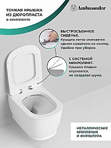 Унитаз подвесной Ambassador Royal 263K19002RS безободковый, с крышкой микролифт, белый купить в интернет-магазине Sanbest