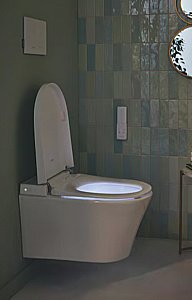 Унитаз подвесной Jacob Delafon Seine E34360-00 безободковый, с крышкой-биде и пультом управления, с инсталляцией, белый/кнопка белая глянцевая купить в интернет-магазине Sanbest