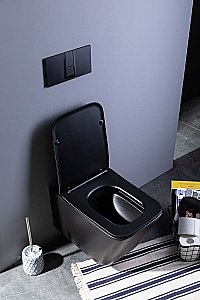 Унитаз подвесной Aquanet Rimless Tavr-W BL-103N-WHT black черный матовый, с крышкой микролифт, безободковый купить в интернет-магазине Sanbest