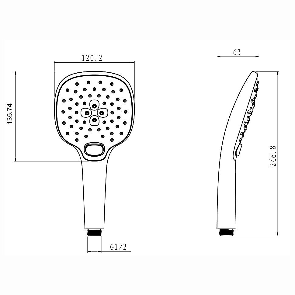Душевая лейка Paini Pescara PSCR155F3D120 хром купить в интернет-магазине сантехники Sanbest