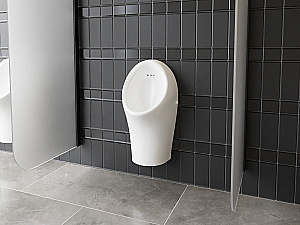 Писсуар Ravak Freeman X01929 белый купить в интернет-магазине Sanbest