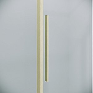 Душевая дверь Niagara Nova NG-44-9ASG 90 прозрачная/профиль брашированное золото купить в интернет-магазине Sanbest