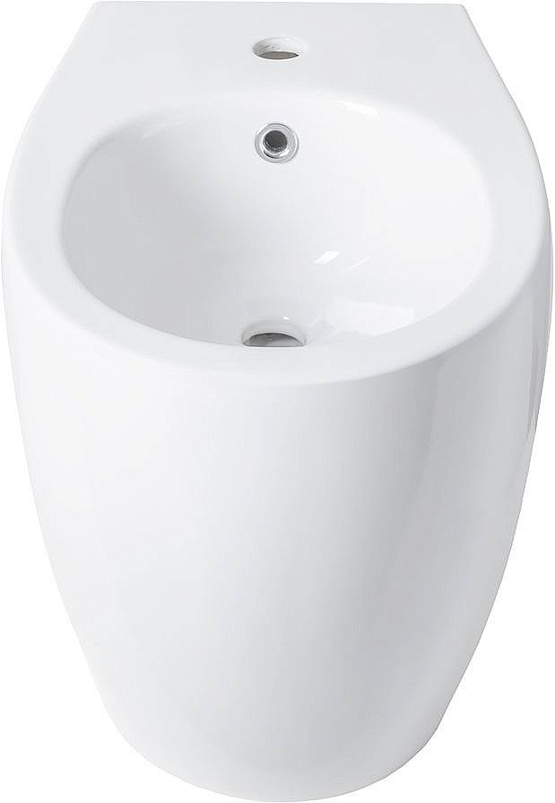 Биде Allen Brau Fantasy 4.11008.20 белое купить в интернет-магазине Sanbest