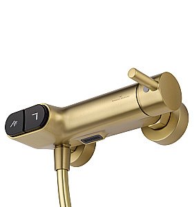 Смеситель для душа с встроенным изливом WONZON & WOGHAND MUSE Corno, Брашированное золото (WW-A30902-BG) купить в интернет-магазине сантехники Sanbest