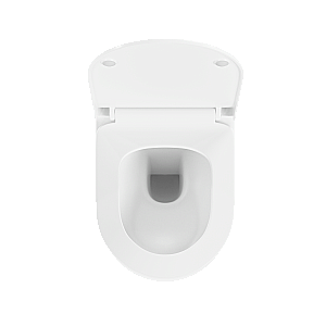 Унитаз подвесной VitrA S50 9003B003-7203 безободковый, с инсталляцией, с крышкой микролифт, белый/клавиша глянцевая белая купить в интернет-магазине Sanbest