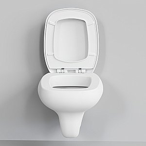 Унитаз подвесной Ambassador Diamond 123T20101R безободковый, белый матовый купить в интернет-магазине Sanbest