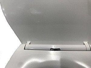 Унитаз подвесной Ceramalux CL-2101 белый, безободковый, с крышкой микролифт купить в интернет-магазине Sanbest