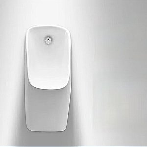 Писсуар подвесной RGW SW-91 80450291-01 белый купить в интернет-магазине Sanbest