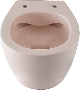 Унитаз Allen Brau Fantasy 4.11004.SM безободковый, розовый купить в интернет-магазине Sanbest