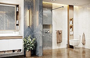 Душевое ограждение Ambassador Waik-in 90x200 15031109 купить в интернет-магазине Sanbest