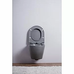 Унитаз подвесной Esbano AZALEA ESUPAZALGM безободковый, с крышкой микролифт, матовый серый купить в интернет-магазине Sanbest