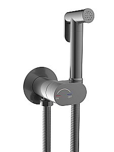 Гигиенический душ со смесителем WeltWasser HIGI R01 GG Брашированная оружейная сталь купить в интернет-магазине сантехники Sanbest