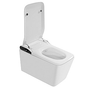 Унитаз подвесной с биде и инсталляцией Abber Bequem AC1215S-AC0101P2 белый, с крышкой микролифт купить в интернет-магазине Sanbest