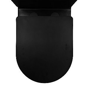 Унитаз напольный Azario Black Queen AZ-8380 черный матовый, безободковый, с бачком, с крышкой микролифт купить в интернет-магазине Sanbest