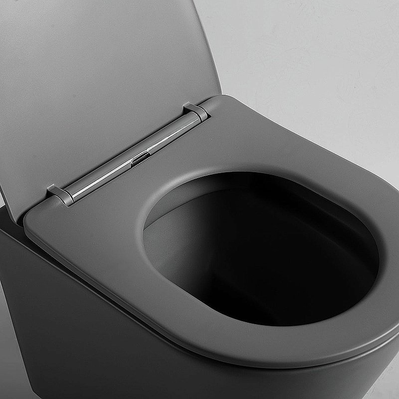 Унитаз Vincea Piatti VT1-11SMA безободковый, с крышкой микролифт, антрацит матовый купить в интернет-магазине Sanbest