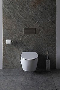 Унитаз Allen Brau Fantasy 4.11HC1.20 безободковый, с крышкой микролифт, белый купить в интернет-магазине Sanbest