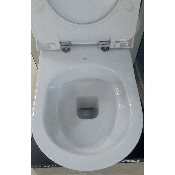 Унитаз подвесной Bien Harmony HRKA052N2VP0W3000 белый, с крышкой микролифт, безободковый купить в интернет-магазине Sanbest