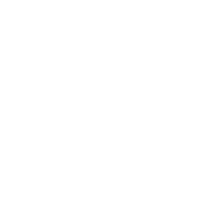 Душевая лейка Elghansa Hand Shower MG-059-Chrome хром купить в интернет-магазине сантехники Sanbest