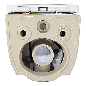 Унитаз подвесной Azario Riano AZ-2808E белый, безободковый, с крышкой микролифт, слив торнадо купить в интернет-магазине Sanbest