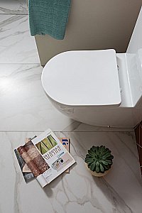 Унитаз-компакт Aquanet Rimless Cetus 2.0 C1 LX-2903 с крышкой микролифт, с бачком, безободковый купить в интернет-магазине Sanbest