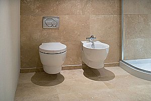 Унитаз подвесной Jacob Delafon OVE E1585-00 с крышкой микролифт купить в интернет-магазине Sanbest