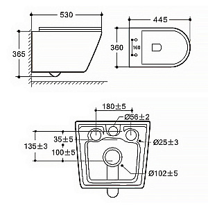Унитаз подвесной Azario Nove AZ-9312T белый, безободковый, с крышкой микролифт, слив торнадо купить в интернет-магазине Sanbest