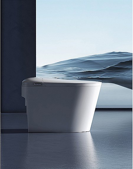 Унитаз приставной с функцией биде SantiLine SL-5036 белый, безободковый, с крышкой микролифт, слив торнадо купить в интернет-магазине Sanbest