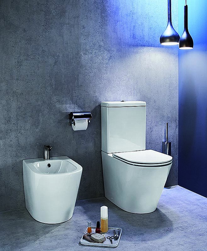 Биде напольное Jacob Delafon Rodin+ EBJ0002-00 белое купить в интернет-магазине Sanbest