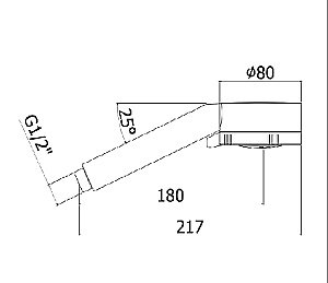 Душевая лейка Cezares ARTICOLI VARI CZR-D3F-BIO белая купить в интернет-магазине сантехники Sanbest
