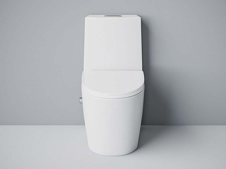 Унитаз-моноблок с функцией биде Laguraty 2100AC с крышкой микролифт купить в интернет-магазине Sanbest