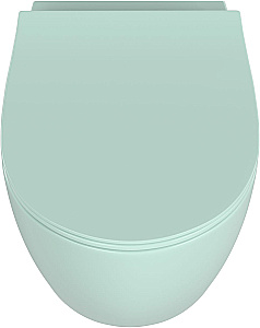 Унитаз подвесной Allen Brau Fantasy 3 Vortex 4.11035.MT мятный матовый, с крышкой микролифт, слив торнадо купить в интернет-магазине Sanbest