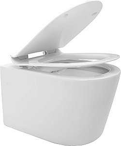 Подвесной унитаз Aquanet Rimless Atago-W BL-104N-WHT с крышкой микролифт, безободковый купить в интернет-магазине Sanbest