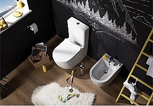 Унитаз-компакт Aquanet Rimless Cetus BL-102N-TPT с крышкой микролифт, с бачком, безободковый купить в интернет-магазине Sanbest