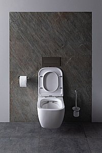 Унитаз Allen Brau Infinity 4.21004.20 безободковый, с крышкой микролифт, белый купить в интернет-магазине Sanbest